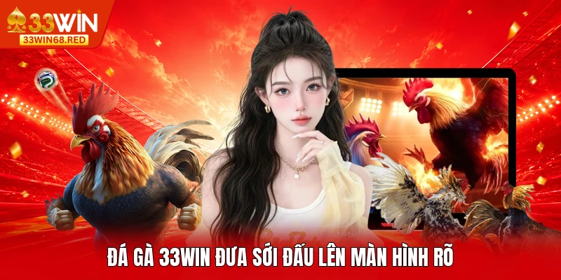 Đá gà 33WIN đưa sới đấu lên màn hình rõ