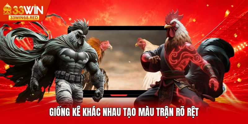 Giống kê khác nhau tạo màu trận rõ rệt